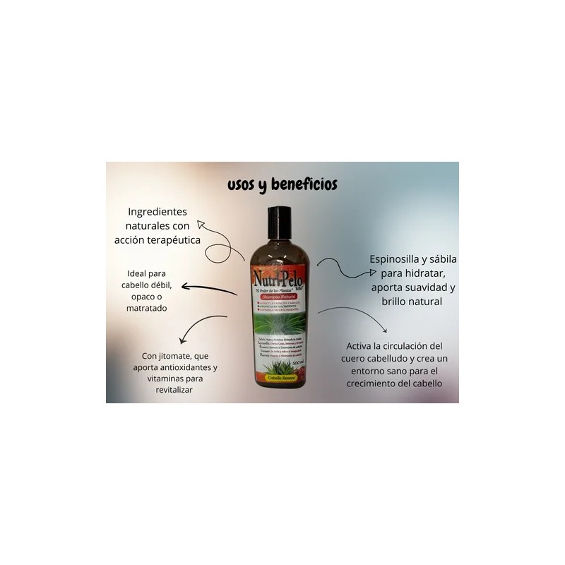Shampoo Jitomate Romero Y Sabila Para Crecimiento Acelerado
