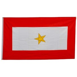 Trade Winds 3x5 Service Gold Star KIA Military Flag 3'x5' Banner Grommets Fade Resistant Fade Resistant Premium
