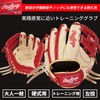 Rawlings Baseball Adult Training Hard Ball GAMER TRAINING [For Training]