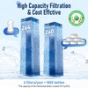 Water Filter Replacement for Lifestraw® Home Dispenser 18 C/Glass Pitcher