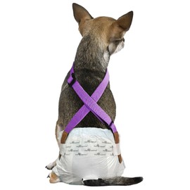 Paw Inspired Dog Diaper Suspenders with Velcro Fasteners | Stretchy Adjustable Suspenders for Female and Male Disposable and Washable Diapers | Fits Small, Medium and Large Size Pets (XS/S, Pink)