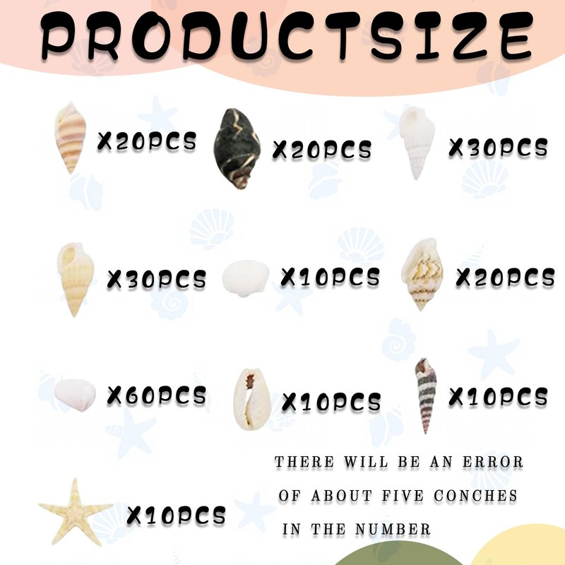 220+ Mixed Sea Shells Starfish for Crafts, DIY Decorations, Beach