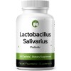 Natural Foundation Lactobacillus Salivarius Probiotic Supplement 240 Tablets 3 Billion