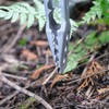 Tab. Extong Long Folding Tongs, Firewood Scissors, Fire Scissors, Tongs,