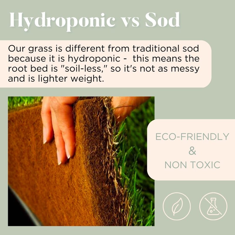 Grounding Mat- All Natural- Real Grass Pad for Health and
