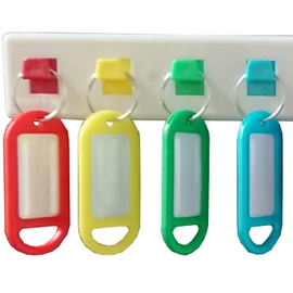 Merriway, White Bulk Hardware BH06981 Wall Mounted Key Holder with 10 Coloured Plastic Tags
