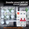 Smart DC Circuit Breaker 2P APP Control Voice Control WiFi