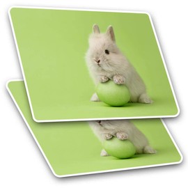 Rectangle Stickers (Set of 2) 10cm - Cute Easter Bunny Rabbit Baby Fun Decals for Laptops,Tablets,Luggage,Scrap Booking,Fridges, #21486