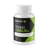 Genetic Supplements - Trans Cissus - Joint Care Supplements -