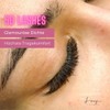 Linny Lashes 5D Eyelash Fans, C-Curl Eyelash Extensions, 500 Ready