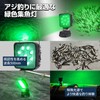 NLA Select Fishing Luring Light, Green LED, 900 Lumens, Waterproof,
