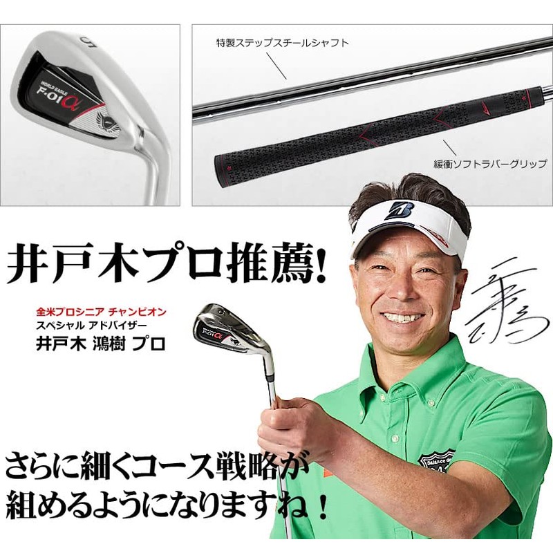WORLD EAGLE F-01α #5 Iron Right Handed Flex SR