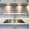 Lvyinyin LED Kitchen Cabinet Lighting, Over and Under Closet Light