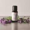 Ellia Lavender Diffuser Essential Oil | 15ml, 100% Pure, Therapeutic