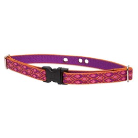 LupinePet Originals 3/4" Alpen Glow 9-12" Containment Collar Strap for Small Dogs