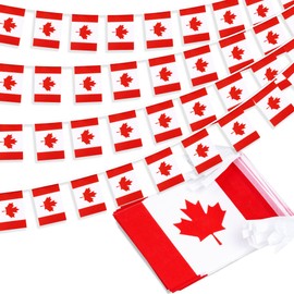 Bandera de cuerda de Canadá, bandera pequeña con banderas canadienses, mini banderines canadienses, decoración nacional del país del Día del Dominio del Día de Canadá, para la escuela, fiestas,