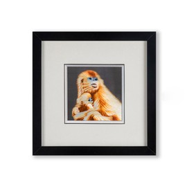Ebherys Hunan Hand Embroidery Wallart, Framed Chinese Decor of Handmade Stitiching (Golden Monkey)