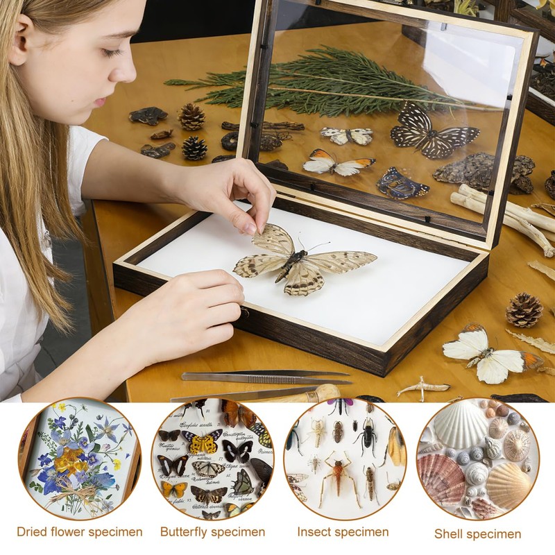 Cabilock Wooden Display Case Wooden Collection Box with Clear Glass