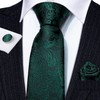 Barry.Wang Green Tie Sets Silk Paisley Floral Necktie Pocket Square