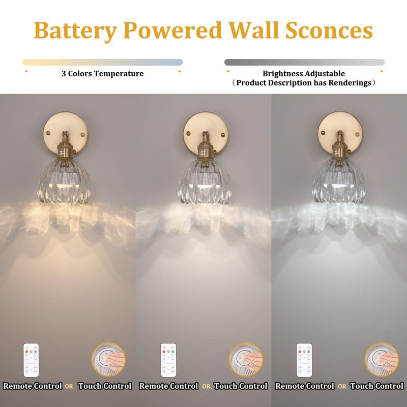 Shenmoyl Vintage Battery Operated Wall Sconce with Transparent Tulip Glass
