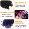 Aksice Pre-looped Yanky Twist Crochet Hair 8 Inch 8 Packs