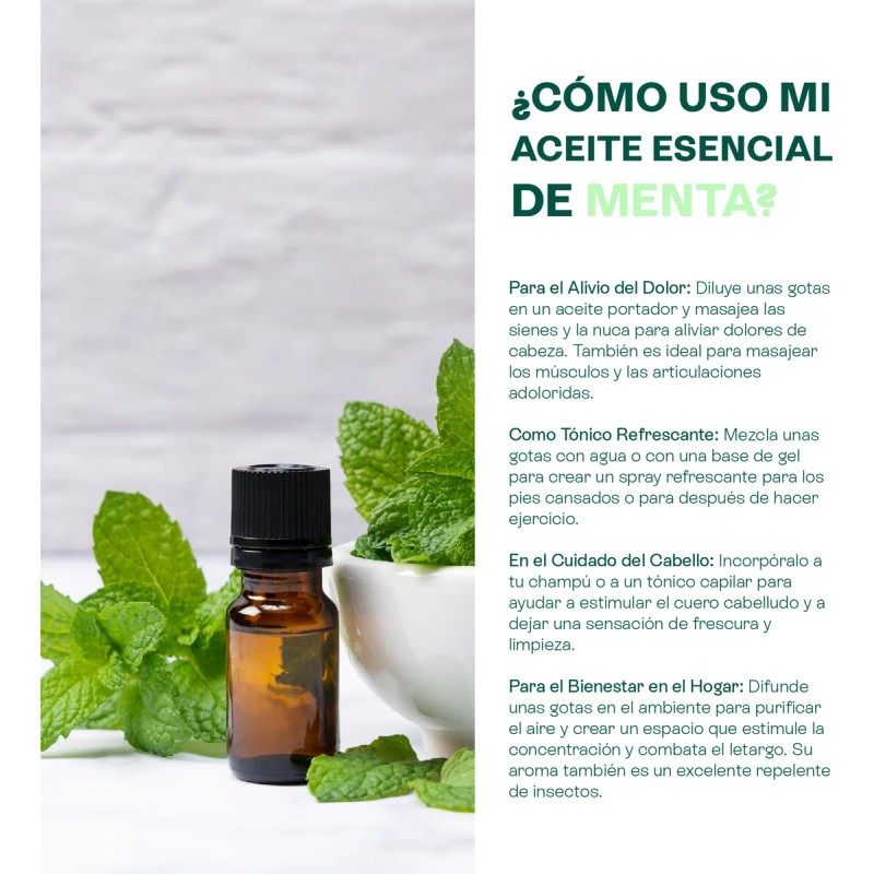 Aceite Esencial De Menta Piperita 10 Ml, Aromaterapia, Spa