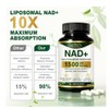 Suplemento Nad 1500 Resveratrol Urolitina Coq10 Quercetina Plus Energía Celular