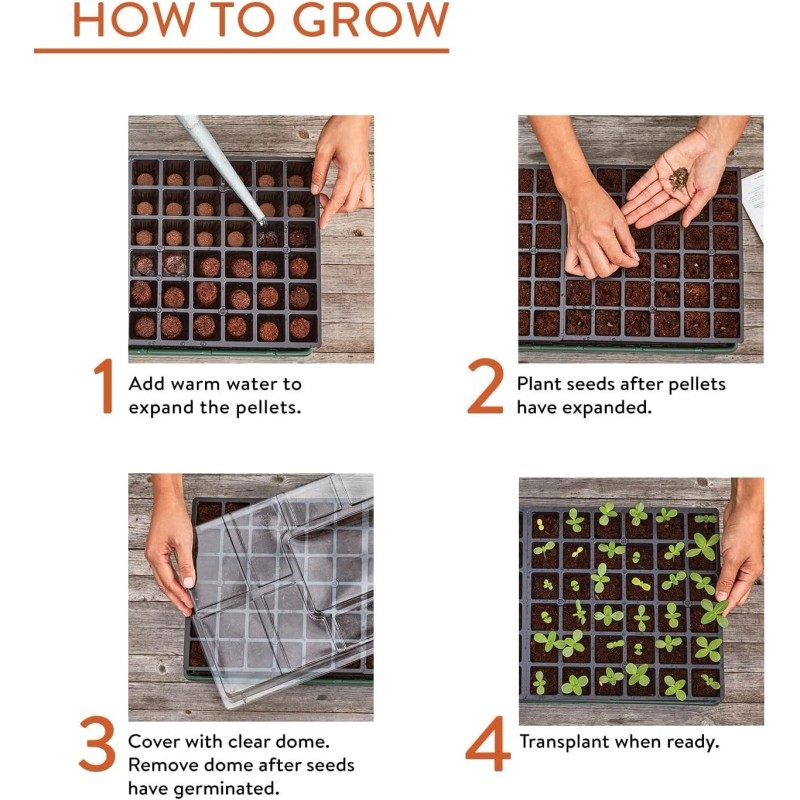 Burpee Greenhouse Indoor Starting Herbs, Flowers and Vegetables