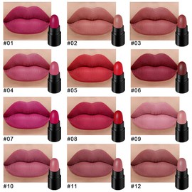 BINGBRUSH 12Pcs Mini Capsule Makeup Lipstick Set, Women Nude Brown Dark Red Matte Matt Lipsticks Cute Lip Stick Purse Set Labiales Matte Larga Duracion 24 (B-12 Pcs Mini Lipstick 01#, B)