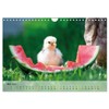 Chickens in the Garden Wall Calendar 2025 DIN A4 Landscape