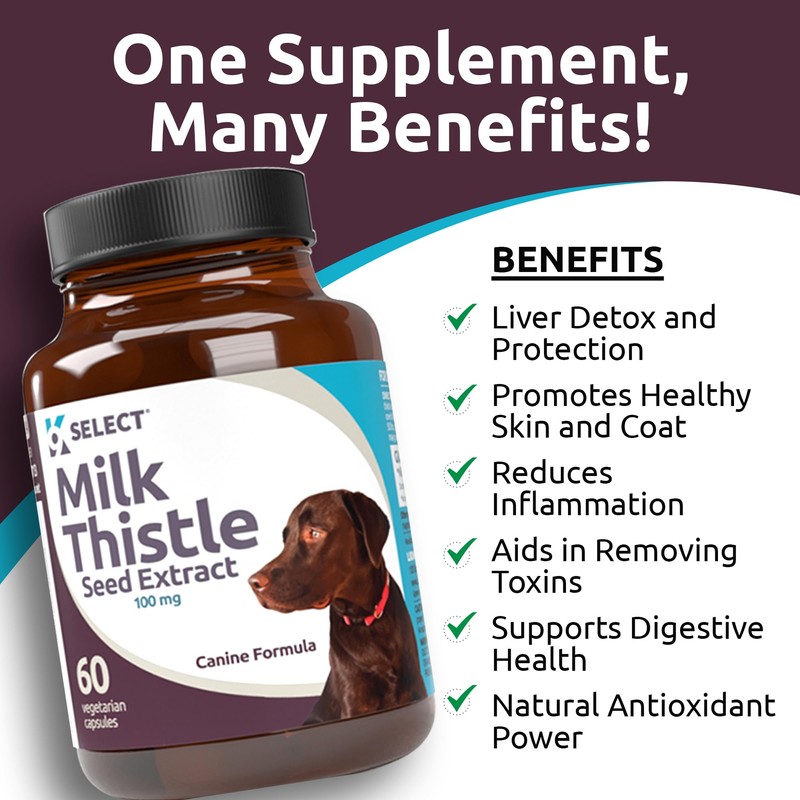 K9 Select Milk Thistle for Dogs, 100mg - 60 Vegetable