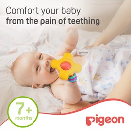 Pigeon Step 2 Training Teether for Oral Development for 7+ Months Babies