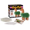 Chia CP439-01 Pet Llama Decorative Pottery Planter, Easy to Do