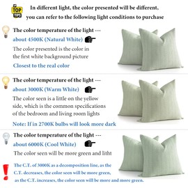 COCOPLOCEUS 24x24 Pillow Covers Set of 2 Euro Sham Pillow Covers Cotton Euro Pillow Shams, Boho Throw Pillow Covers Large Decorative Square Pillowcase for Couch Bed, Sage Green