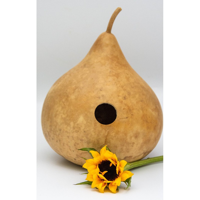 Gourdaments Gourd Birdhouse, Unfinished, Craft Ready, Box of 3