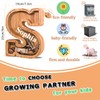 JOOMLAFLY Wooden Letter Piggy Bank for Kids 9"Clear Coin Bank