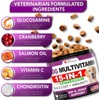 Vet Promise 2 Pack Dog Multivitamin Chewable with Glucosamine Vitamins