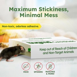 BugMD CatchShield Glue & Sticky Traps for Mice, Rats & Insects – Non-Toxic Pest Control, 24-Pack, Pet & Family Friendly, Extra-Strength, Ready-to-Use Adhesive Traps