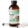 Seizure Support Liquid for Dogs & Cats 100 mL |