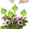 4pcs Self Watering Flower Globes Decorative Automatic Plants Watering Bulbs