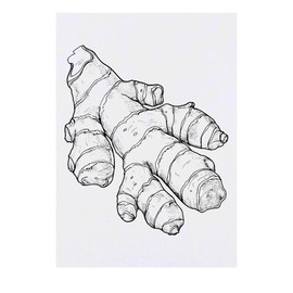 'Ginger Root' Temporary Tattoo - Water Resistant, Skin-Safe, Non-Toxic Transfer (TO00084851)