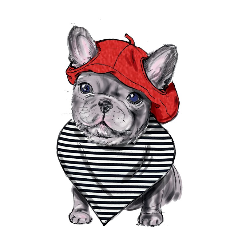 Simplicity Pet Accessories Sewing Pattern Kit, Code S9497, Sizes S-M-L,