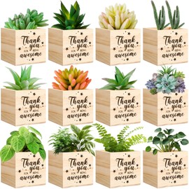 Geetery 12 Pieces Plant Cube Appreciation Gift Square Wooden Planter 3 Inch Pots for Plants Wooden Inspirational Mini Succulent Pot Plant Gift for Christmas Nurse Office Employee Teacher(Thank You)