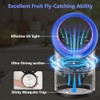 Fruit Fly Traps for Indoors, Fly Trap Indoor, Indoor Bug