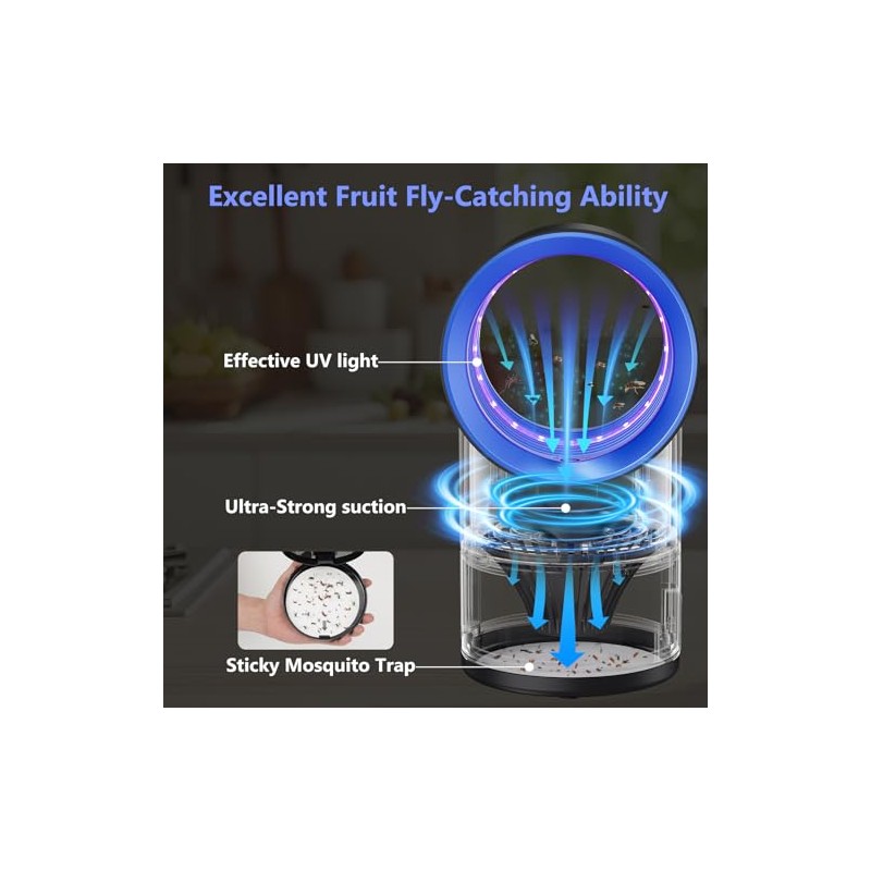 Fruit Fly Traps for Indoors, Fly Trap Indoor, Indoor Bug