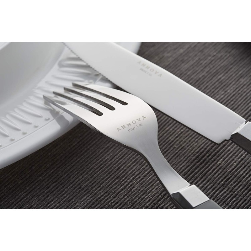 Annova Cutlery Set 20 Pieces Stainless Steel Color Handle with