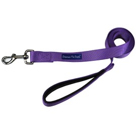 Downtown Pet Supply Strong Durable Dog Leash Lead - Purple 4' Foot (L) x 3/4" Inch (W)