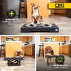 Pet Zone Elevated Dog Bowls Designer Diner 3 Height Adjustable