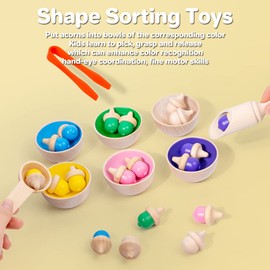 Color Sorting Toys for Toddlers, Wooden Acorns Counting Toys with Bowls Tweezer Spoon Color Learning Activities Teaching Toy Color Matching Game Montessori Toys Gift for Kids Boys Girls