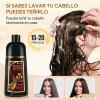 Kaisasa Shampoo Con Tinte Cubre Canas Natural Jengibre Maroon